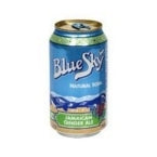 Blue Sky Natural Soda Jamaican Ginger Ale 6 Ct, 72 oz
